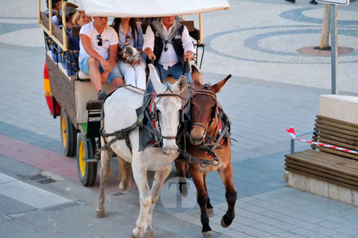 La Virgen de las Viñas emociona a Tomelloso en un regreso multitudinario tras la Romería