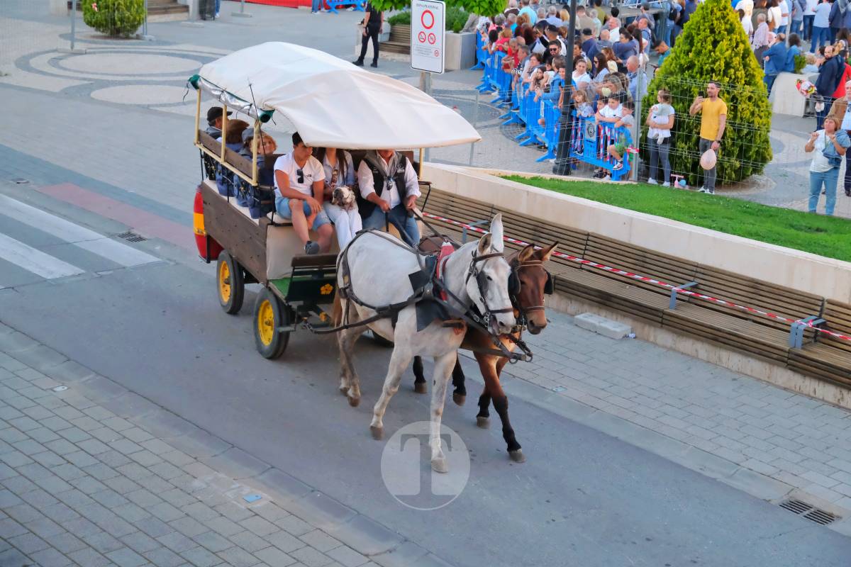 La Virgen de las Viñas emociona a Tomelloso en un regreso multitudinario tras la Romería