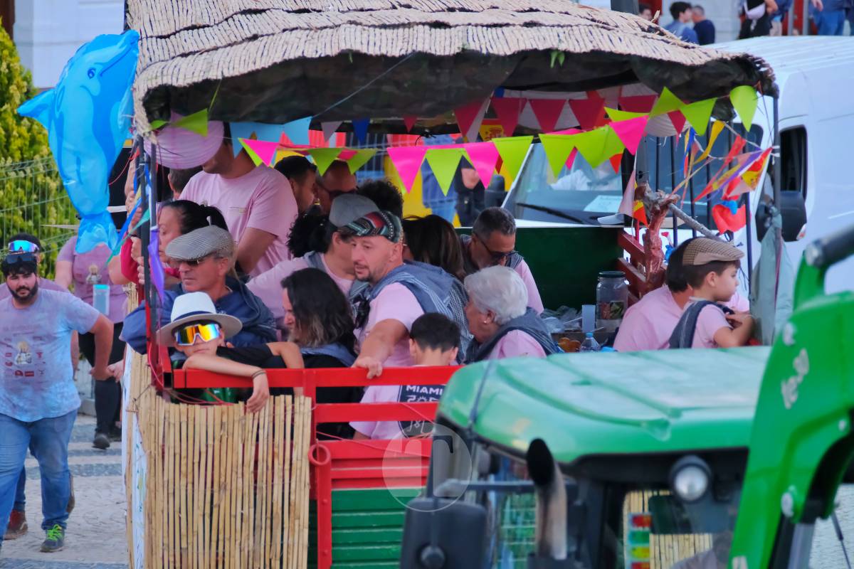 La Virgen de las Viñas emociona a Tomelloso en un regreso multitudinario tras la Romería