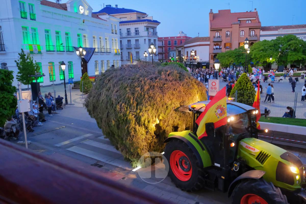 La Virgen de las Viñas emociona a Tomelloso en un regreso multitudinario tras la Romería