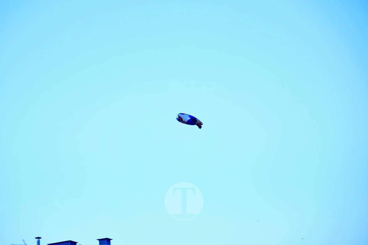 La Virgen de las Viñas emociona a Tomelloso en un regreso multitudinario tras la Romería