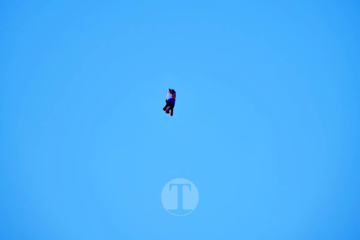 La Virgen de las Viñas emociona a Tomelloso en un regreso multitudinario tras la Romería