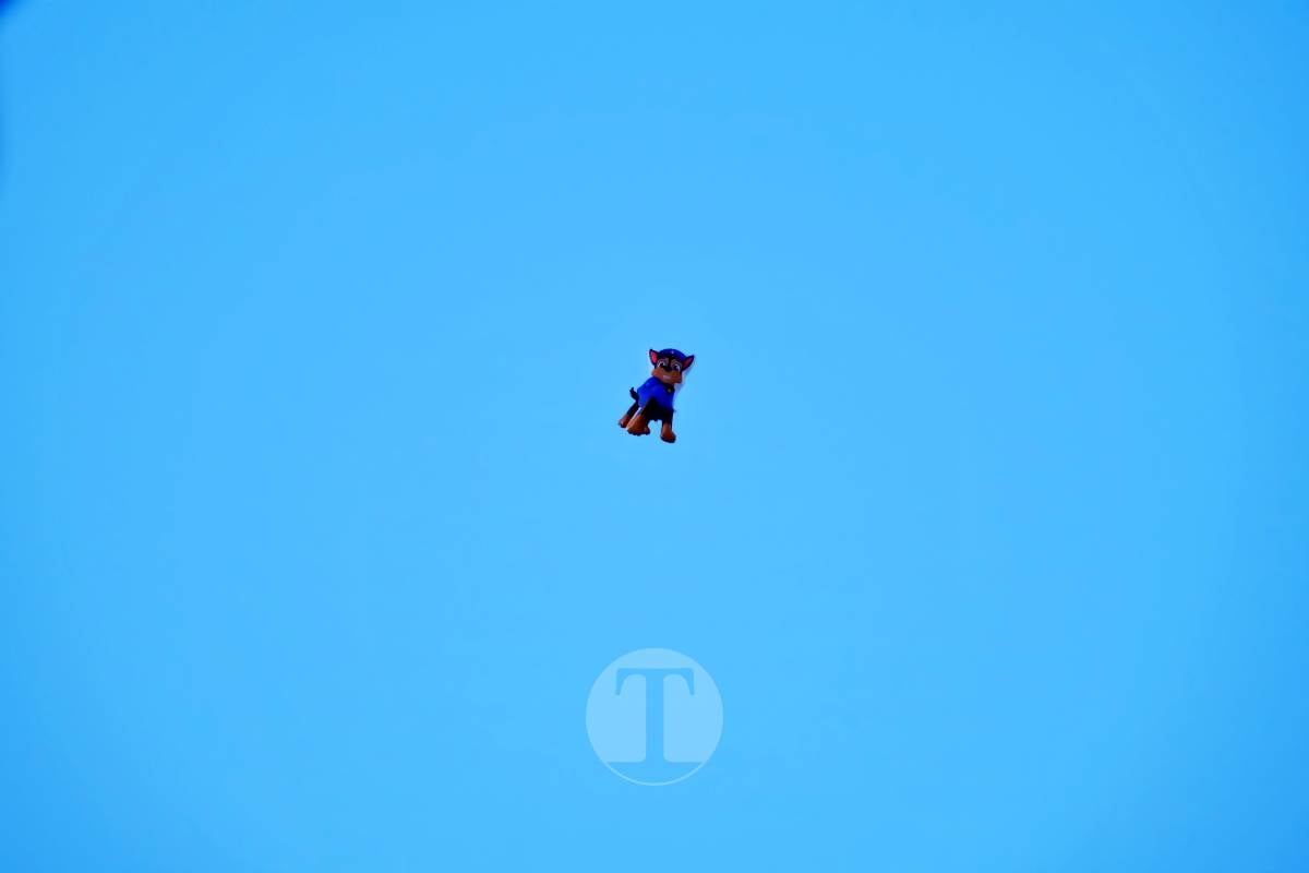 La Virgen de las Viñas emociona a Tomelloso en un regreso multitudinario tras la Romería