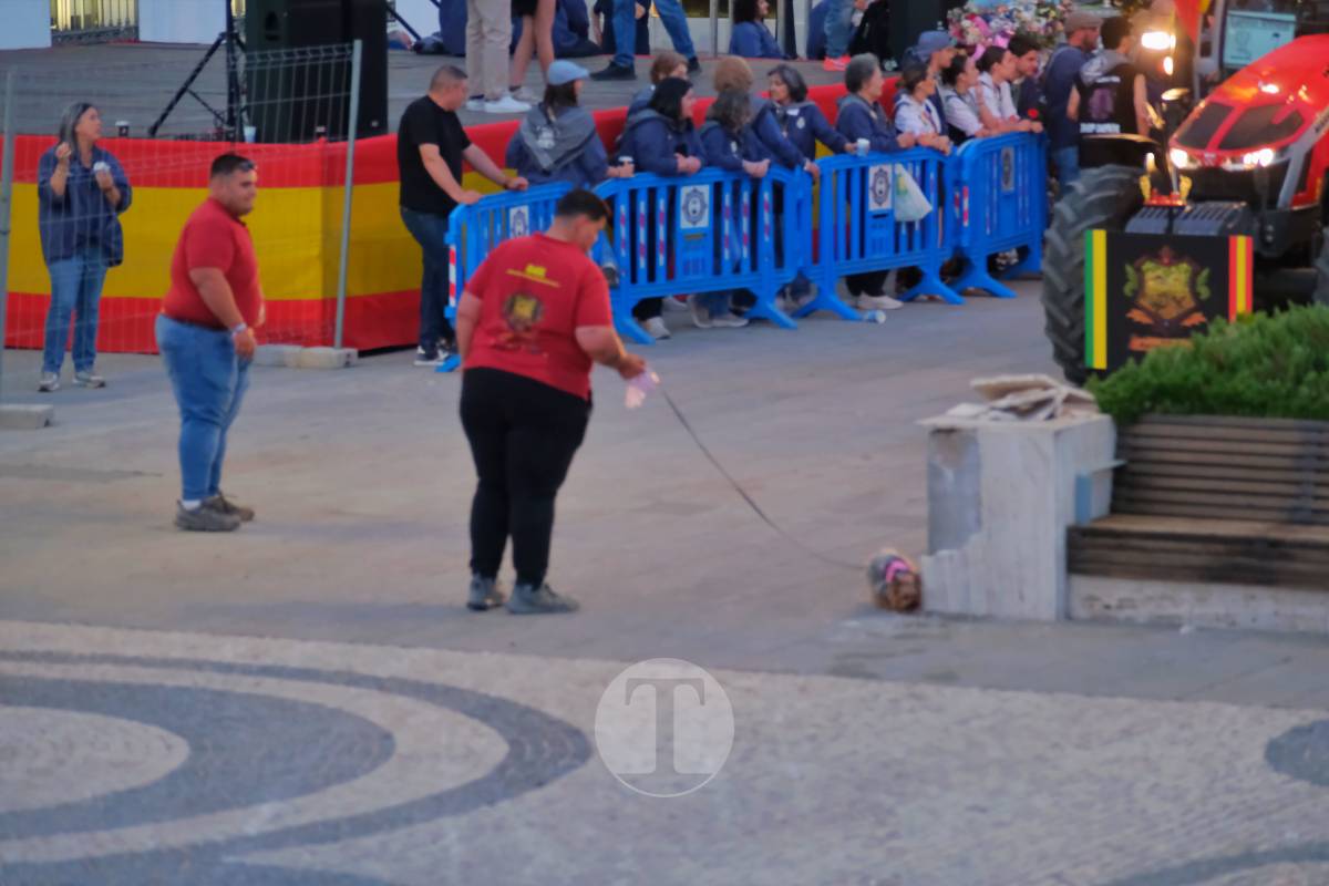 La Virgen de las Viñas emociona a Tomelloso en un regreso multitudinario tras la Romería
