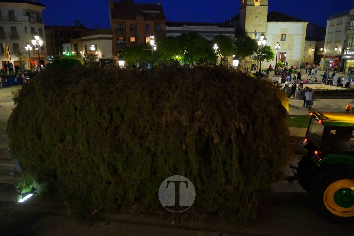 La Virgen de las Viñas emociona a Tomelloso en un regreso multitudinario tras la Romería