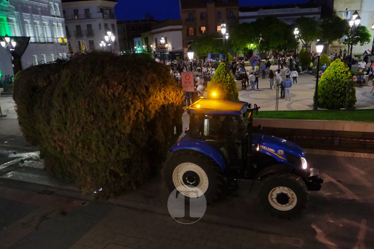 La Virgen de las Viñas emociona a Tomelloso en un regreso multitudinario tras la Romería