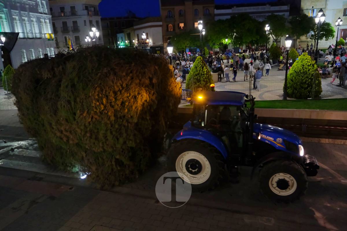 La Virgen de las Viñas emociona a Tomelloso en un regreso multitudinario tras la Romería