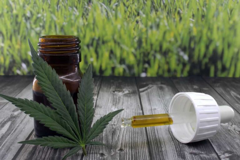 ¿Por qué el CBD está revolucionando el cuidado personal?