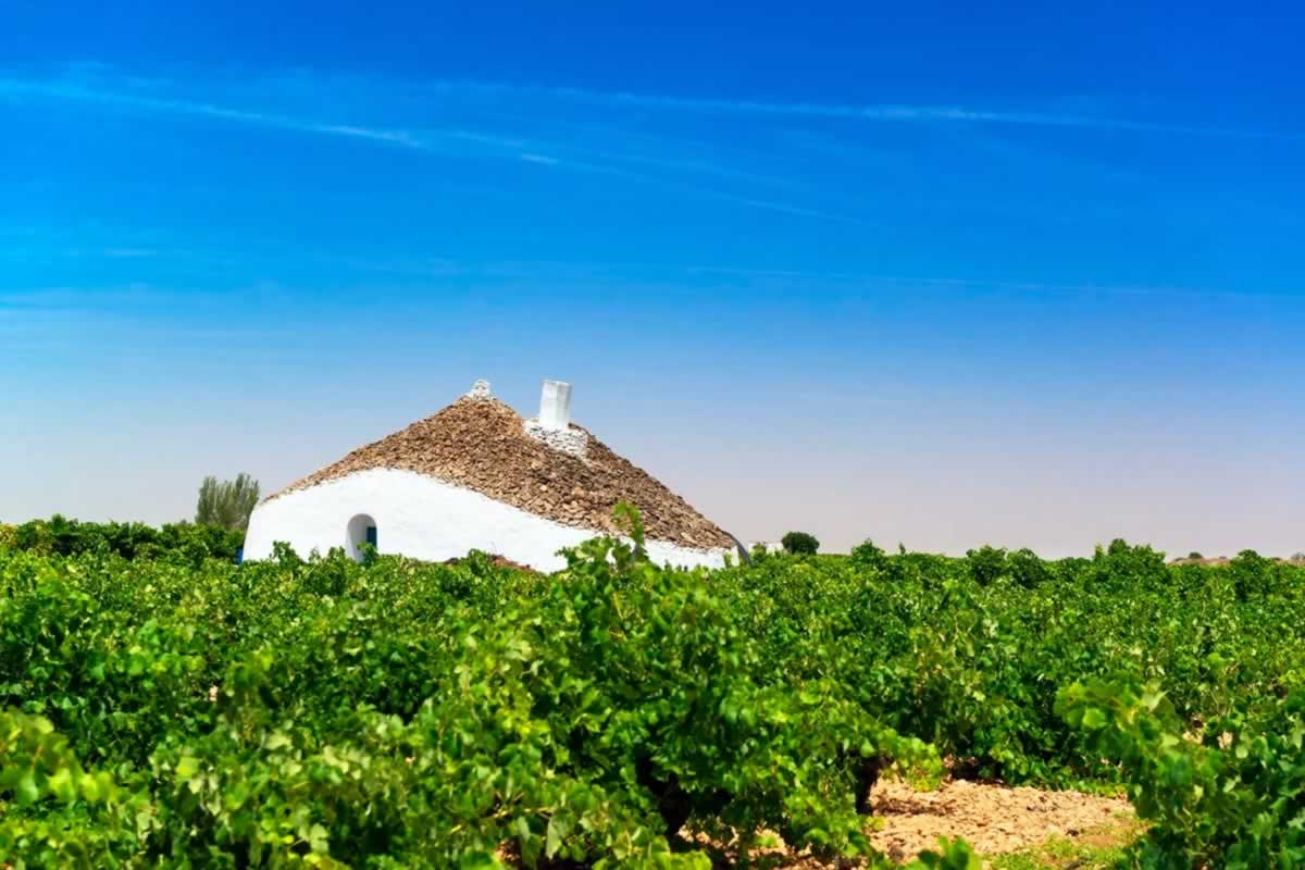 La Mancha no necesita disfrazarse de otra cosa