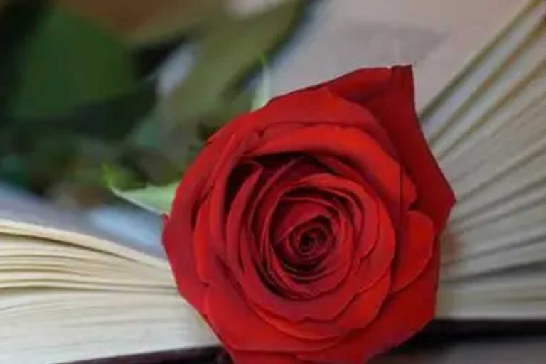Celebremos el «Día del libro»