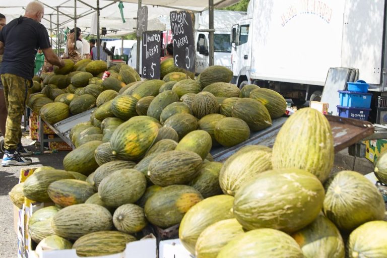 La Mesa de Precios de Melón y Sandía pide prudencia y planificación ante la inestabilidad del mercado