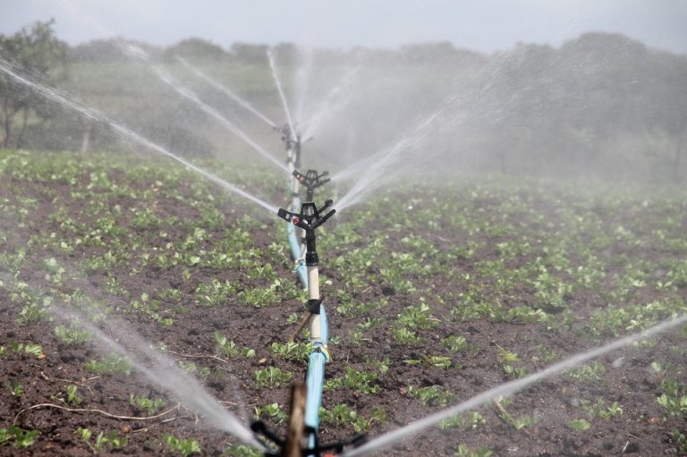 Agricultura afirma que acabará todas las obras del plan de regadíos en C-LM antes de julio