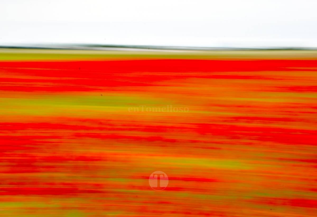 Tomelloso se tiñe de rojo: el espectáculo natural que solo dura unos días