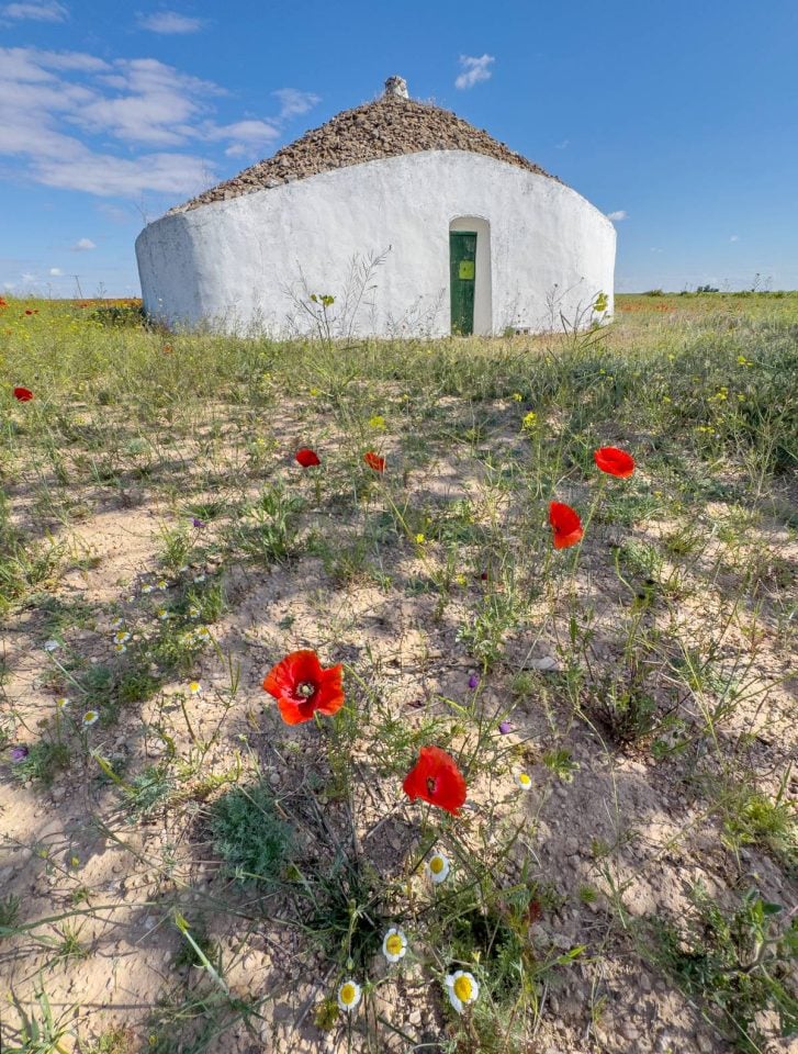 Tomelloso se tiñe de rojo: el espectáculo natural que solo dura unos días