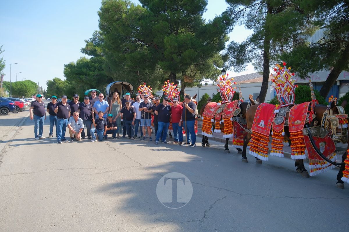Los carreros de Tomelloso llenan de tradición el Día de la Región con su desfile de reata