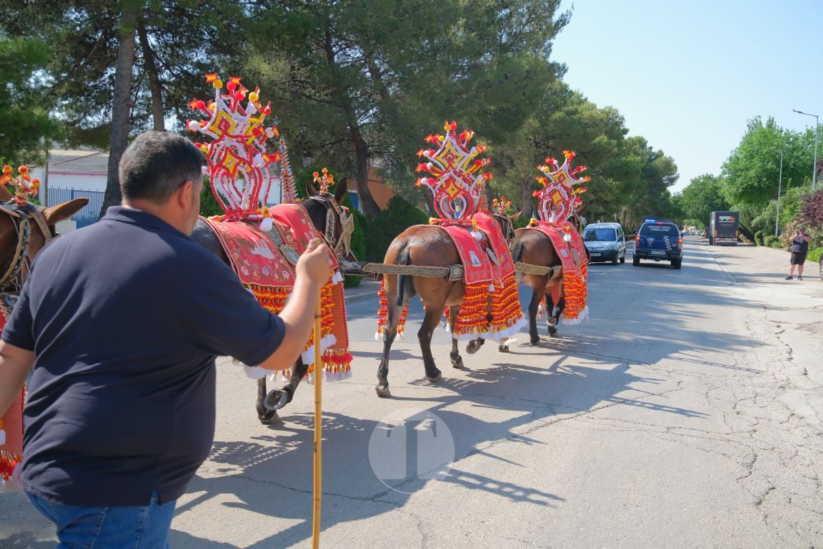 Los carreros de Tomelloso llenan de tradición el Día de la Región con su desfile de reata