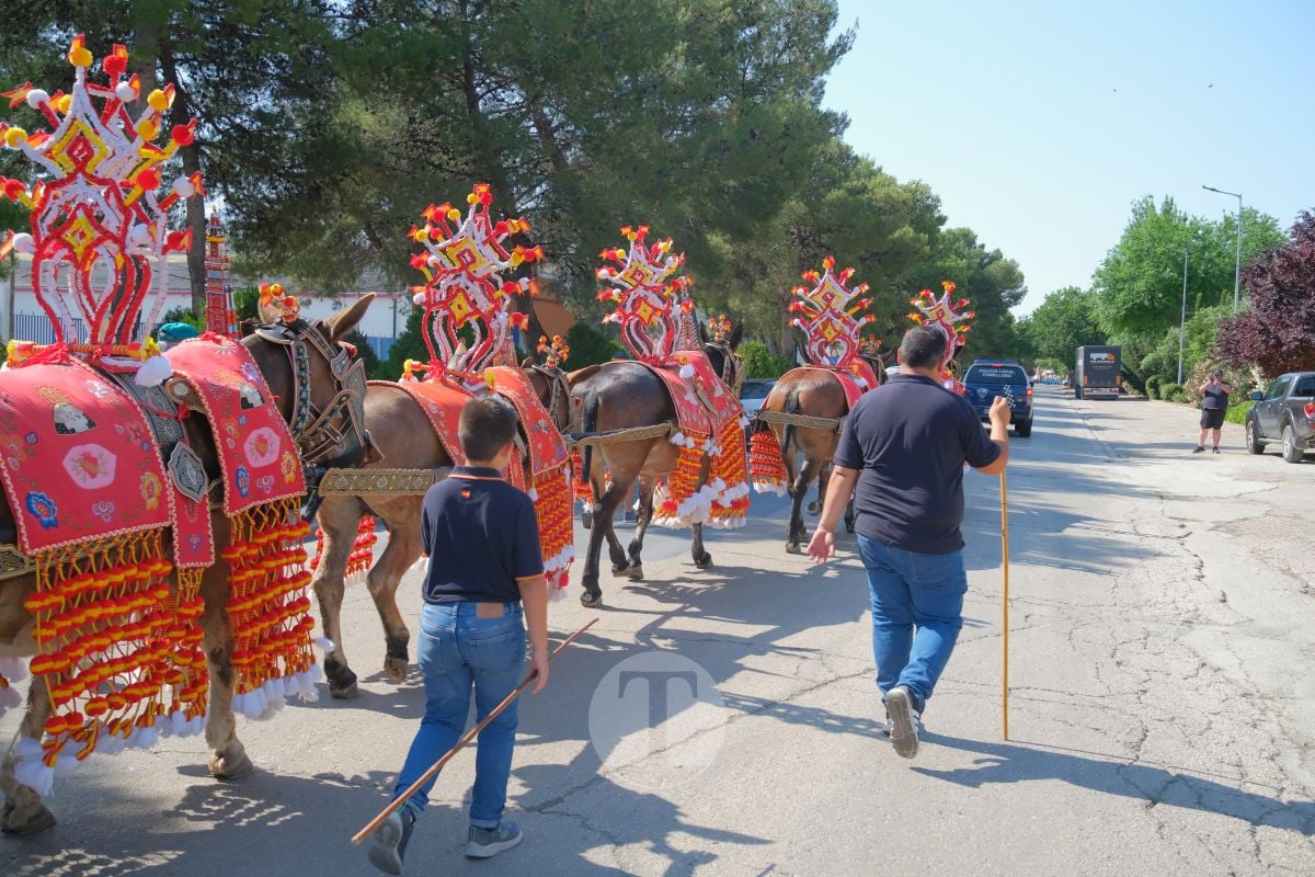Los carreros de Tomelloso llenan de tradición el Día de la Región con su desfile de reata