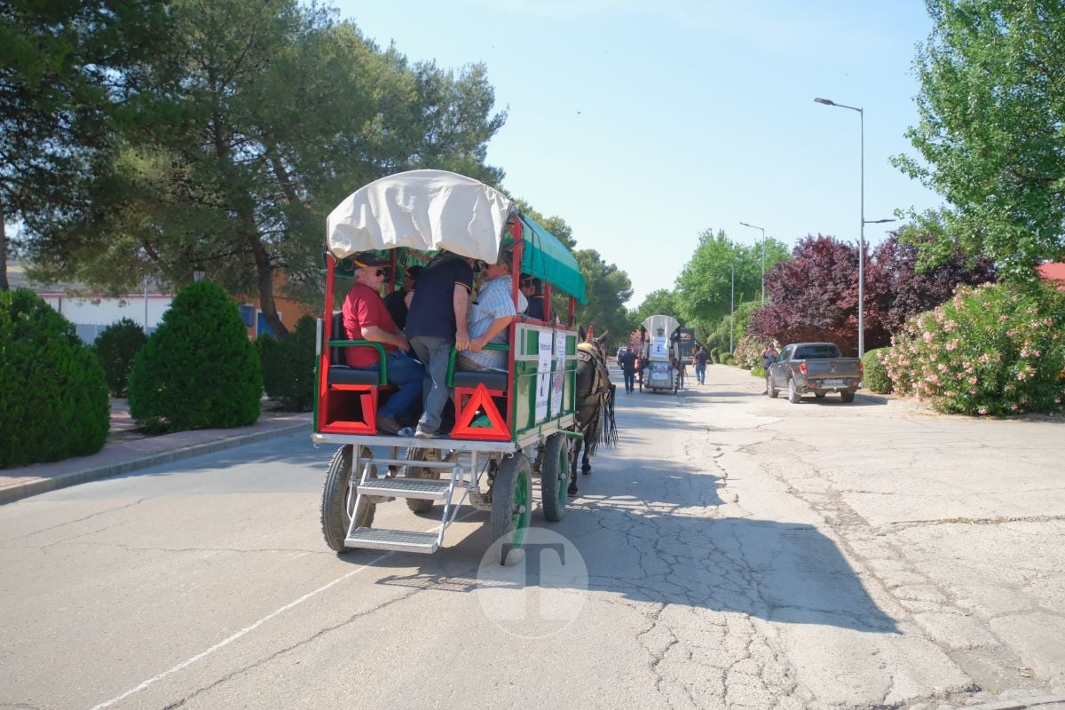 Los carreros de Tomelloso llenan de tradición el Día de la Región con su desfile de reata
