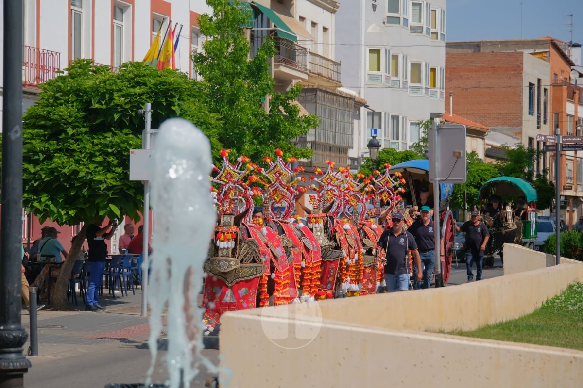 Los carreros de Tomelloso llenan de tradición el Día de la Región con su desfile de reata