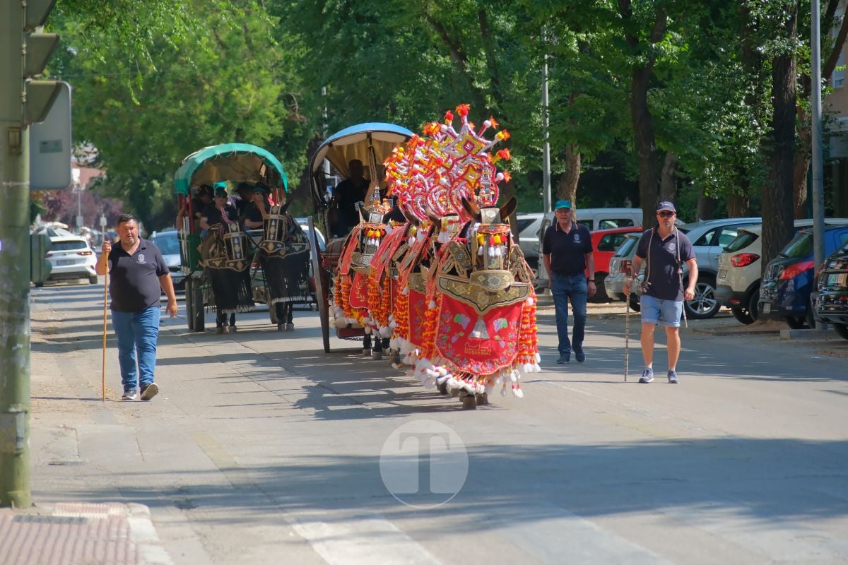 Los carreros de Tomelloso llenan de tradición el Día de la Región con su desfile de reata