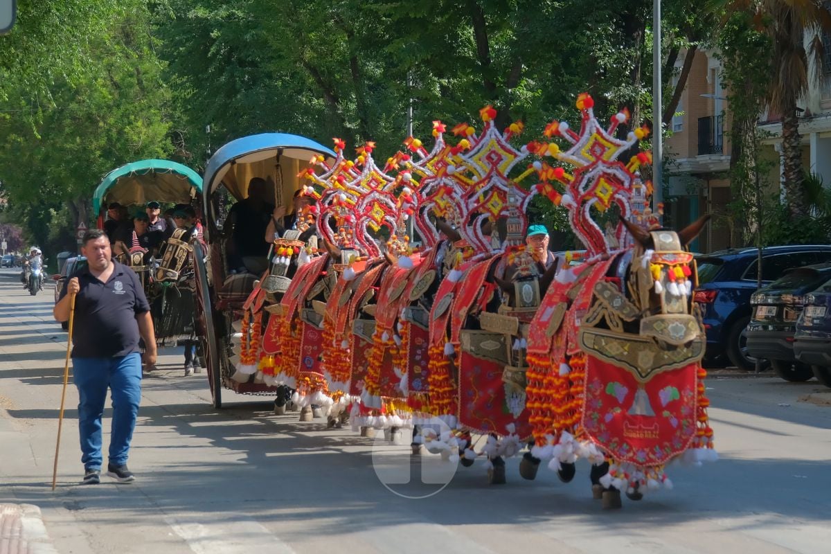 Los carreros de Tomelloso llenan de tradición el Día de la Región con su desfile de reata