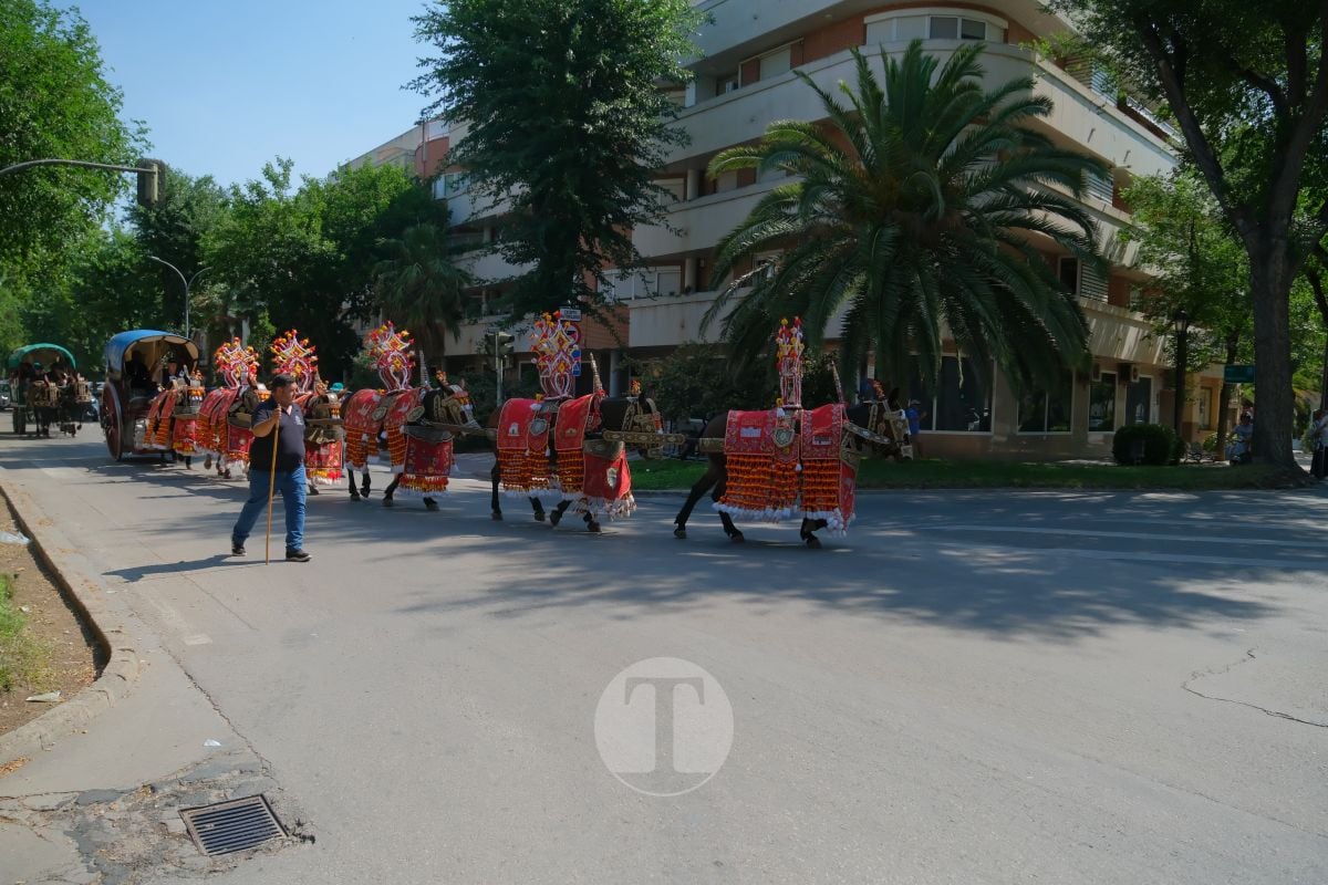 Los carreros de Tomelloso llenan de tradición el Día de la Región con su desfile de reata