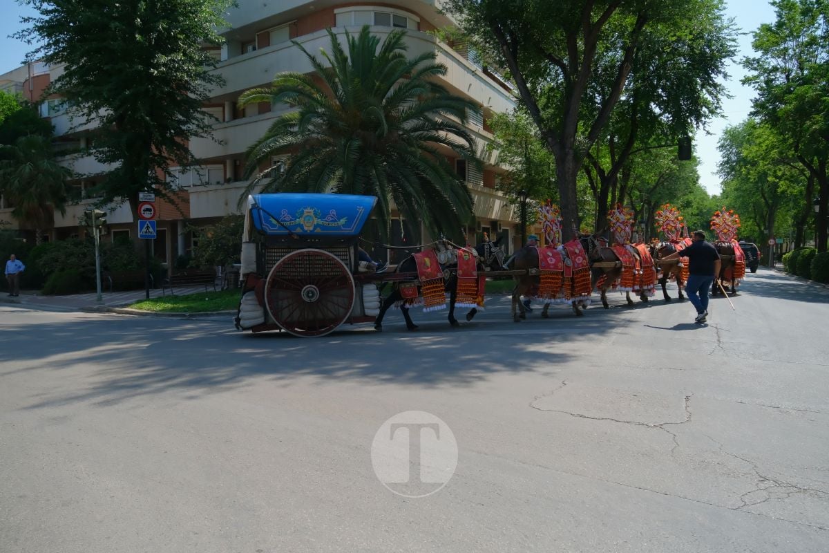 Los carreros de Tomelloso llenan de tradición el Día de la Región con su desfile de reata