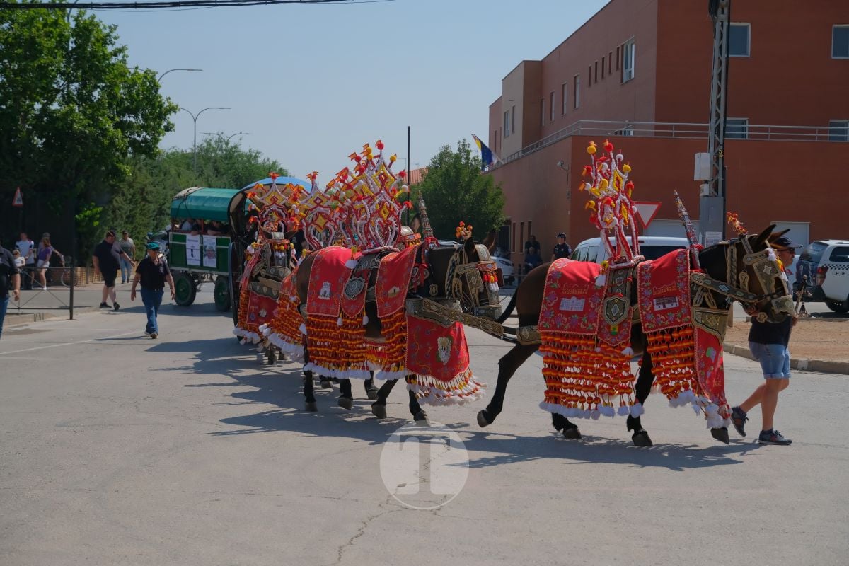 Los carreros de Tomelloso llenan de tradición el Día de la Región con su desfile de reata