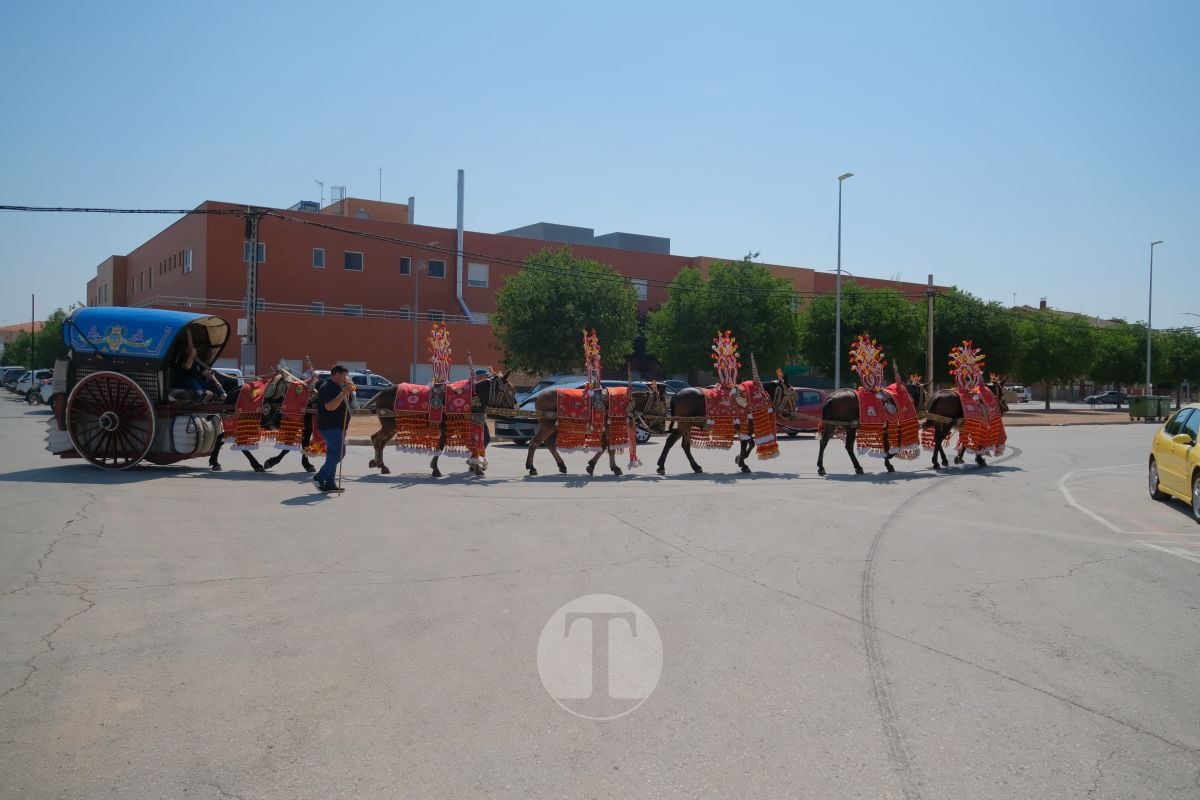Los carreros de Tomelloso llenan de tradición el Día de la Región con su desfile de reata