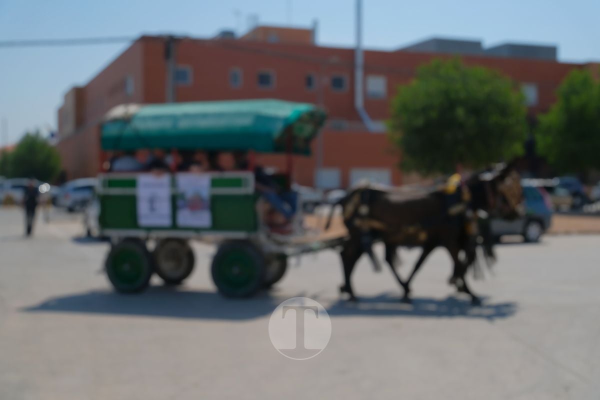 Los carreros de Tomelloso llenan de tradición el Día de la Región con su desfile de reata