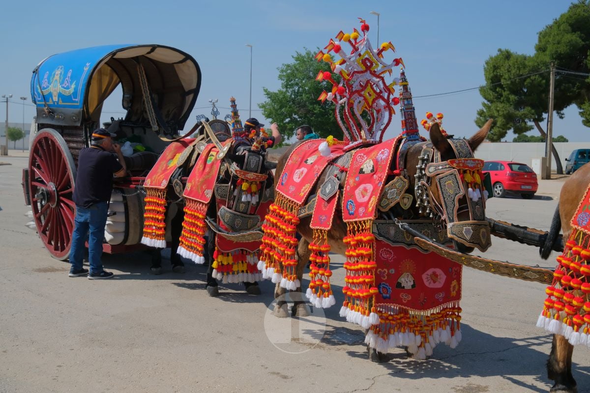 Los carreros de Tomelloso llenan de tradición el Día de la Región con su desfile de reata