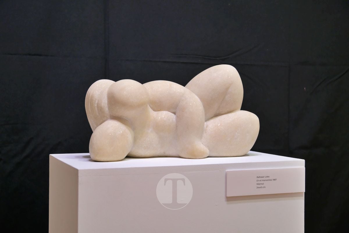 El Museo Infanta Elena reúne en Tomelloso a “50 Artistas de la Escuela de París”