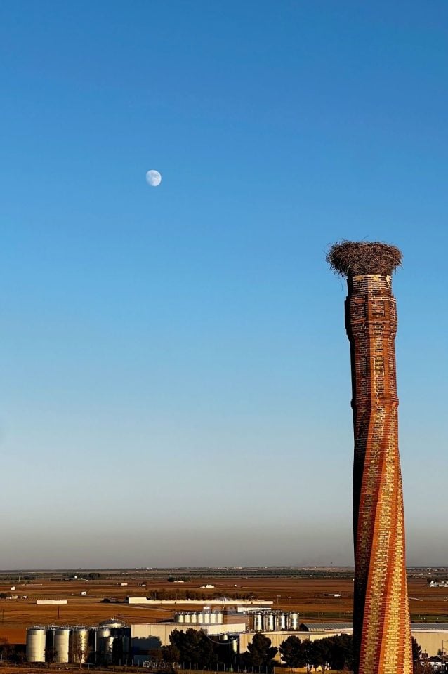 La torre de Fábregas: el mirador perfecto para contar la historia de Tomelloso