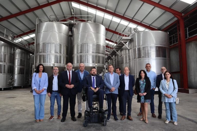 Ayudas para modernizar el sector del vino en C-LM con casi 500 proyectos Vinati