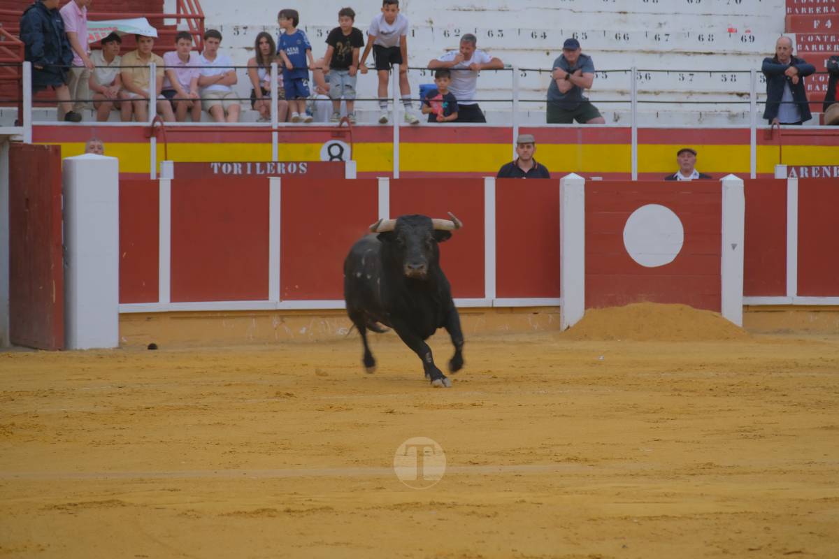 Antonio Linares celebra diez años de su alternativa con cuatro orejas en una tarde marcada por la lluvia