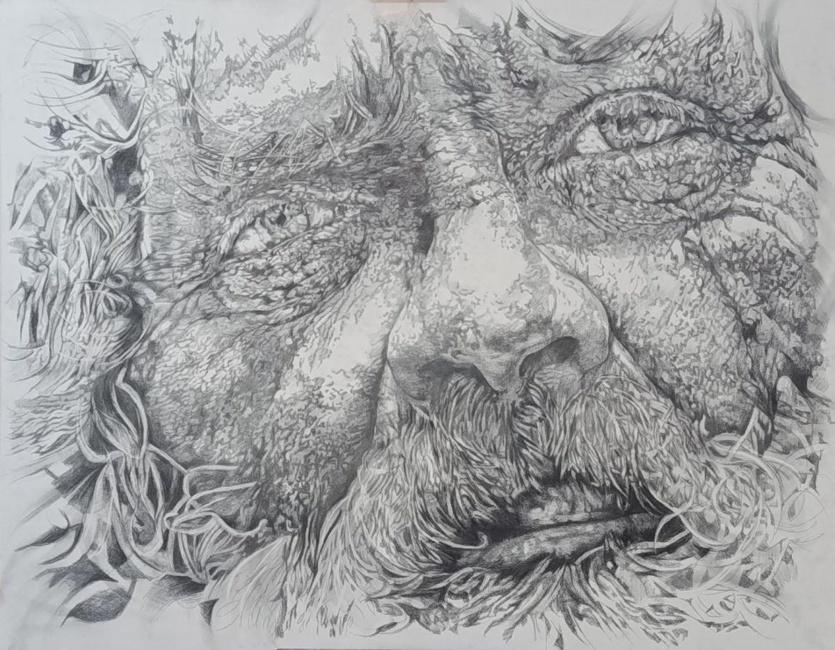 El Concurso Exposición de Pintura y Dibujo “Ciudad de Tomelloso” ya tiene ganadores