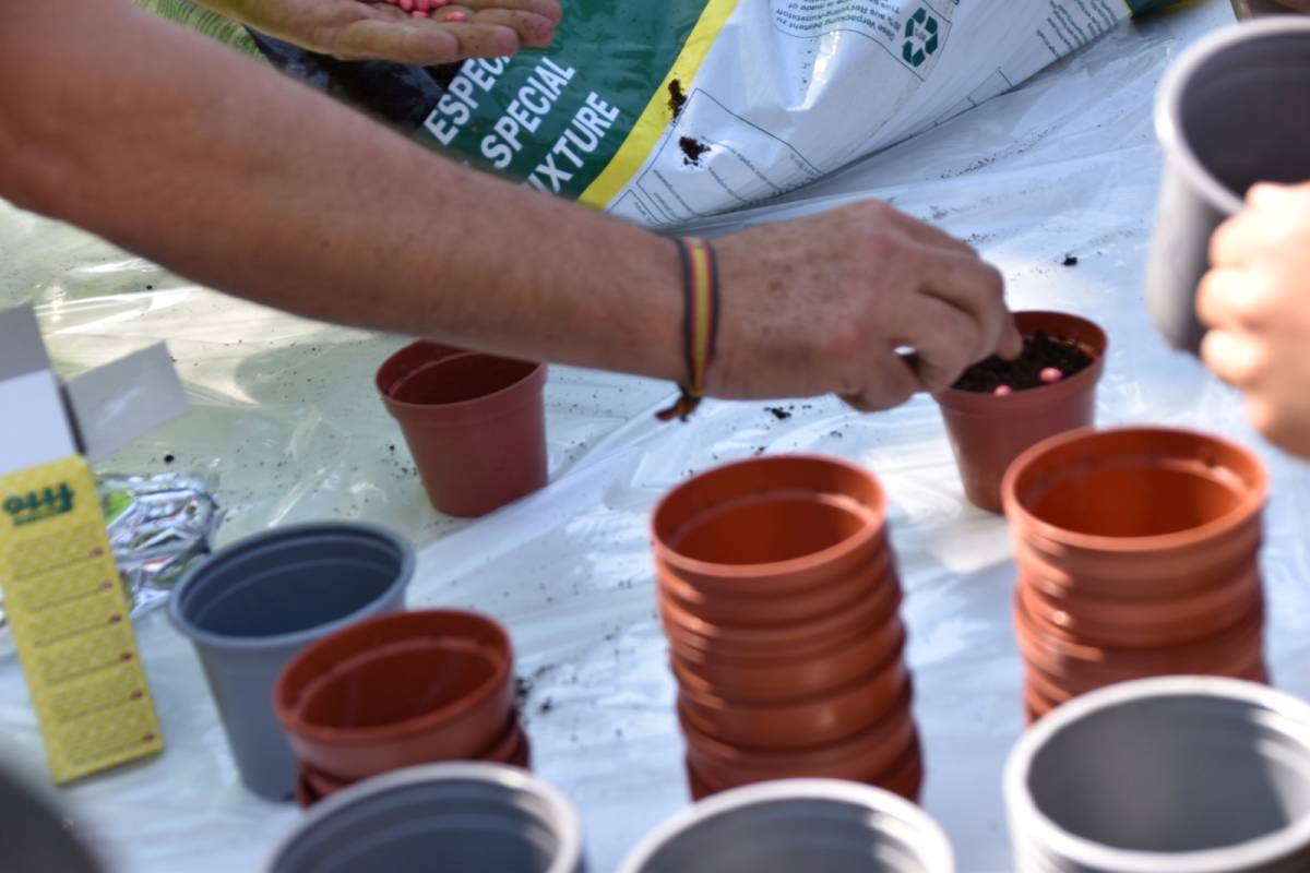 Escolares de seis centros de Tomelloso participan en una yincana educativa por el Día del Medio Ambiente