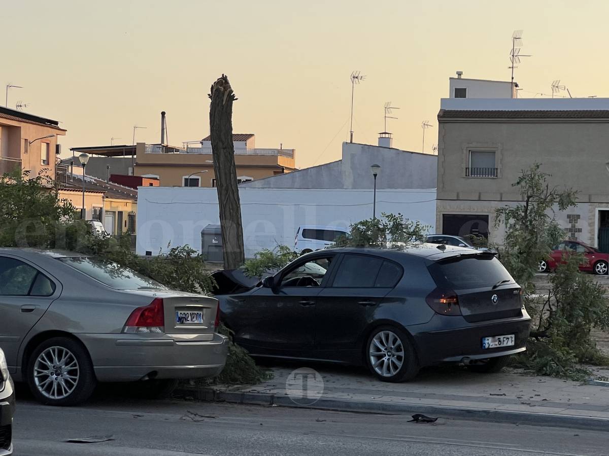 Un vehículo se empotra contra un árbol tras un accidente en la Avenida Juan Carlos I de Tomelloso