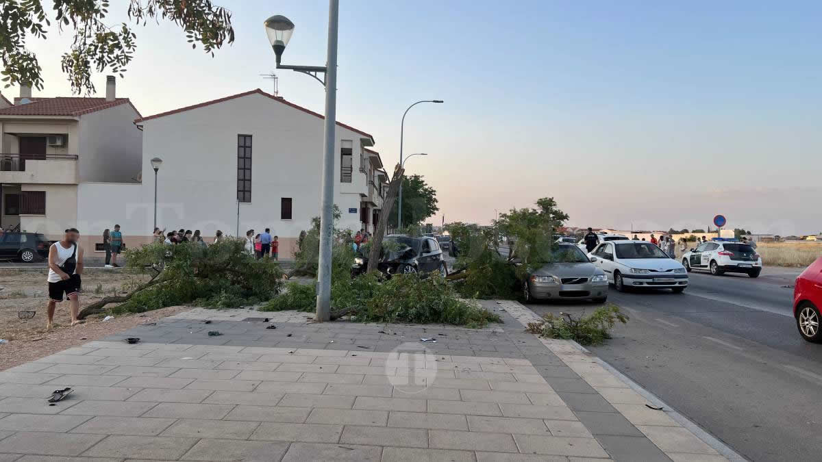 Un vehículo se empotra contra un árbol tras un accidente en la Avenida Juan Carlos I de Tomelloso