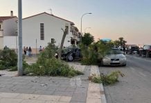 Un vehículo se empotra contra un árbol tras un accidente en la Avenida Juan Carlos I de Tomelloso