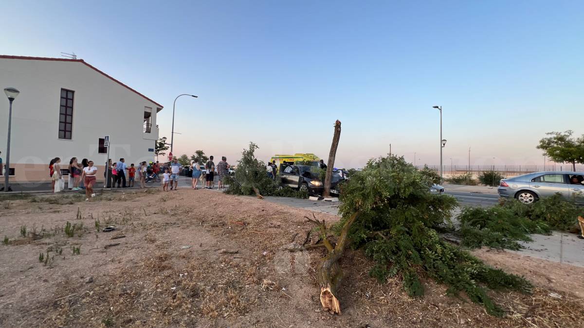 Un vehículo se empotra contra un árbol tras un accidente en la Avenida Juan Carlos I de Tomelloso
