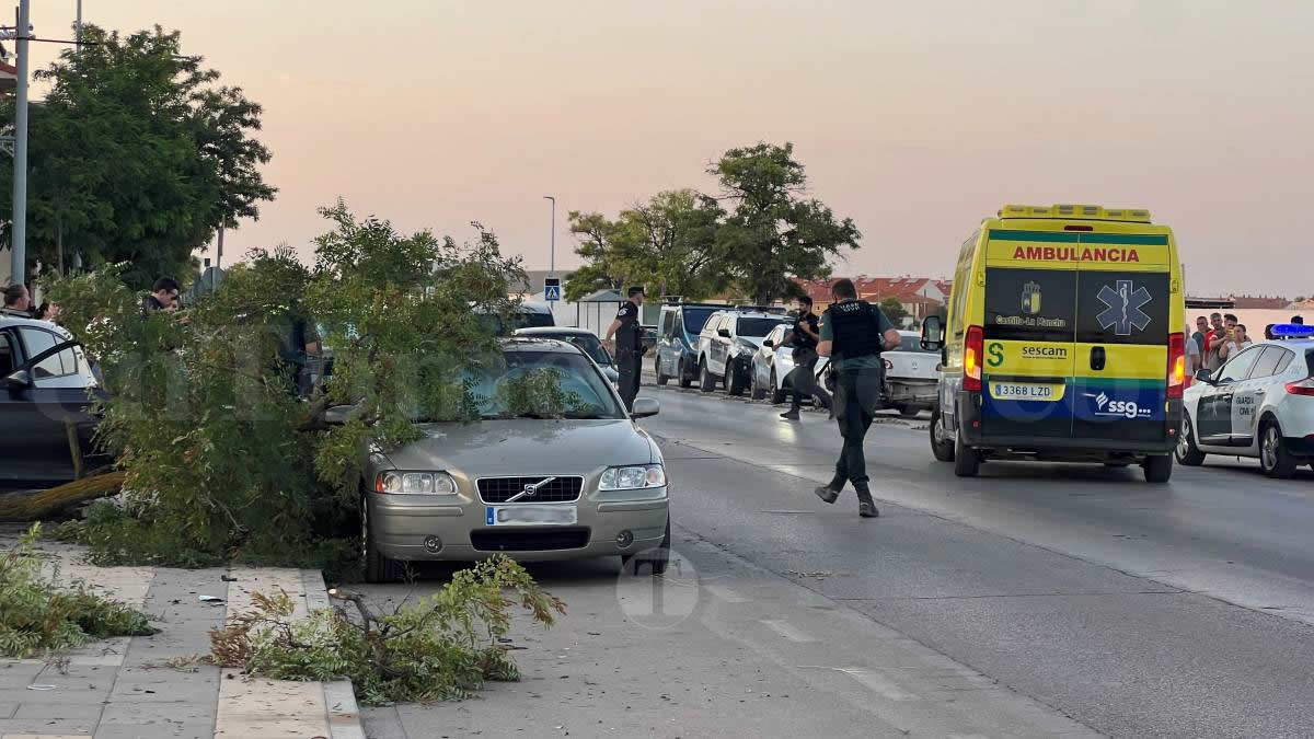 Un vehículo se empotra contra un árbol tras un accidente en la Avenida Juan Carlos I de Tomelloso