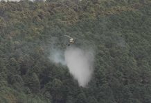 El incendio de La Mierla alcanza las 13.000 hectáreas y obliga a evacuar 21 poblaciones