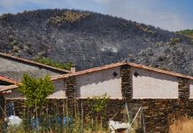 El incendio de La Mierla alcanza las 26.000 hectáreas, rompe cortafuegos de hasta 40 metros y amenaza con llegar a Soria