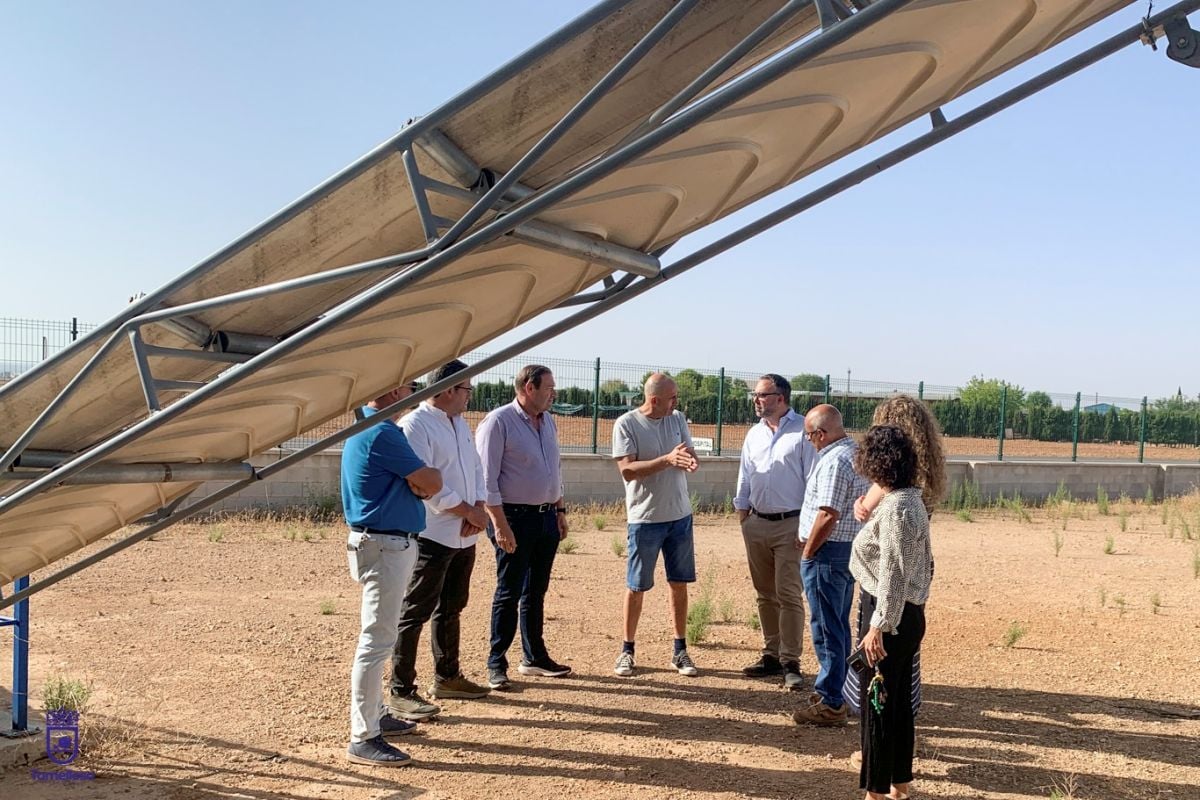 Pistalife encara una nueva campaña de pistacho con 33 socios y una producción prevista similar a la de 2025