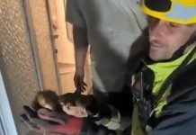 Los bomberos de Tomelloso rescatan a un gatito atrapado en el desagüe de una vivienda