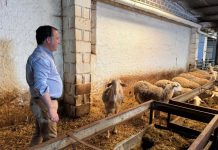 Vox anuncia alegaciones al decreto de biometanización de Castilla-La Mancha por sus «excepciones»