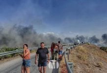 Extinguido un incendio de pastos junto a la A-43 en Argamasilla de Alba
