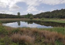 La restauración del Valle de las Hazadillas recupera un humedal desaparecido junto a las Lagunas de Ruidera