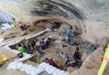 La Malia sigue revelando cómo vivieron los primeros Homo sapiens del interior peninsular